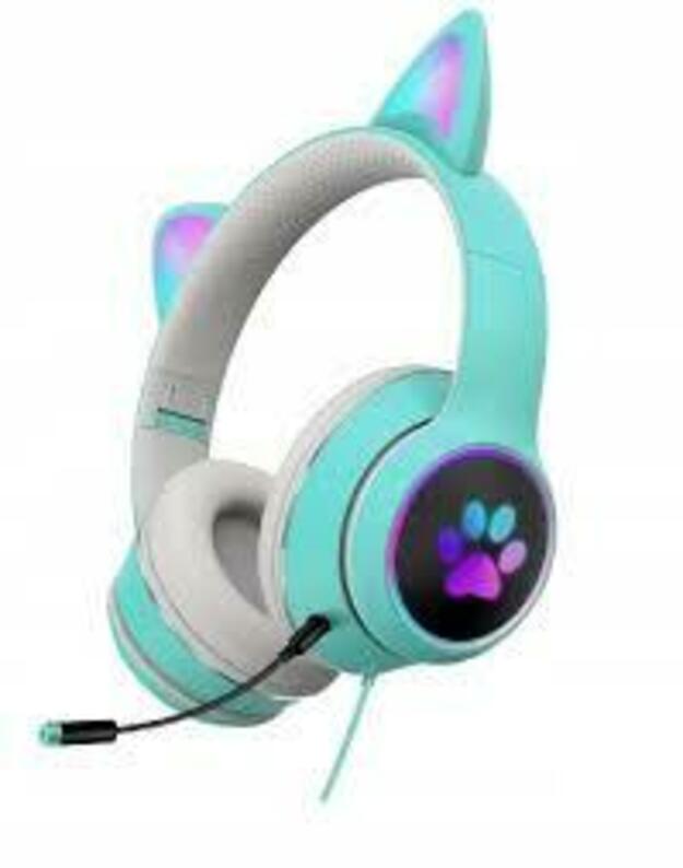   CAT LED BLUETOOTH AUSINĖS 