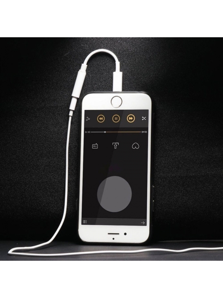 Aux Adapteris laidas Lightning į 3.5mm