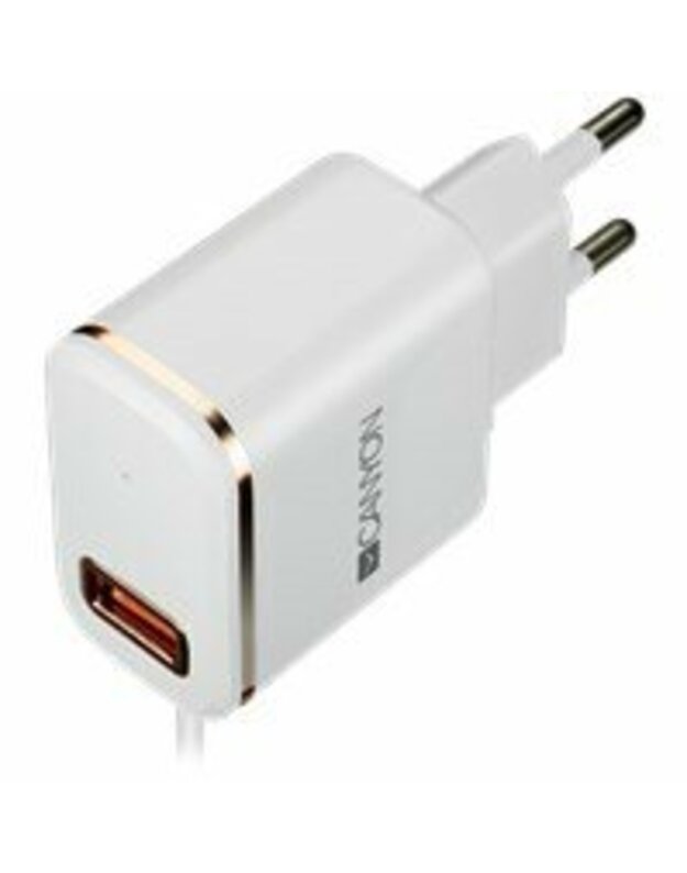 CANYON Universal 1xUSB AC charger (in wall) with over-voltage protection, plus lightning USB connector, Input 100V-240V, Output 5V-2.1A, with Smart IC, white(rose-gold electroplated stripe), cable length 1m, 81*47.2*27mm, 0.059kg