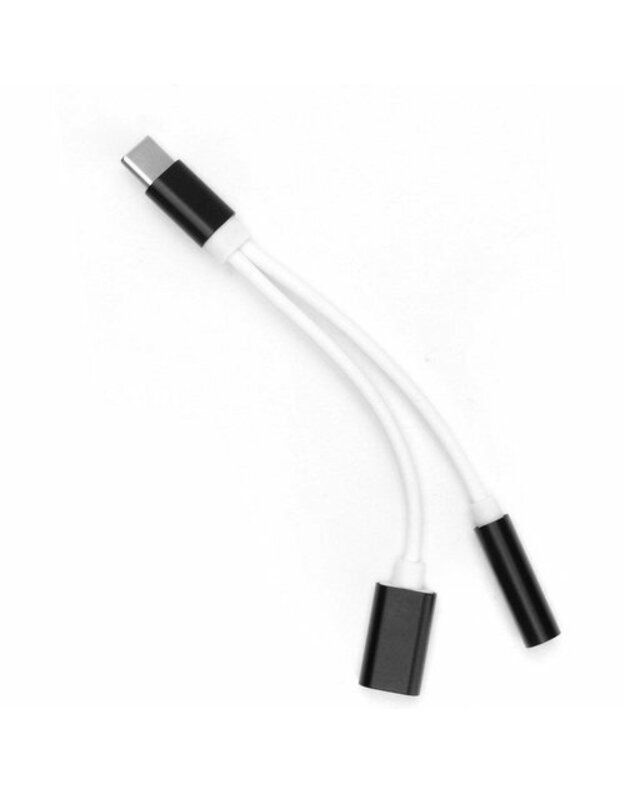 USB-C garso adapteris - 3,5 mm lizdas su juodos / juodos spalvos įkrovimu