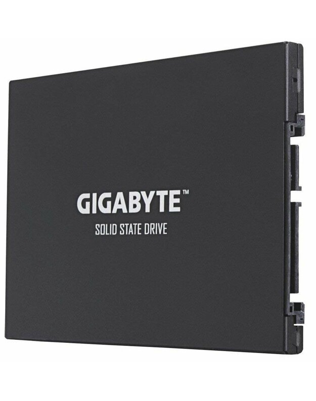 Gigabyte UD PRO 256GB 2,5 SATA3 (GP-GSTFS30256GTTD)