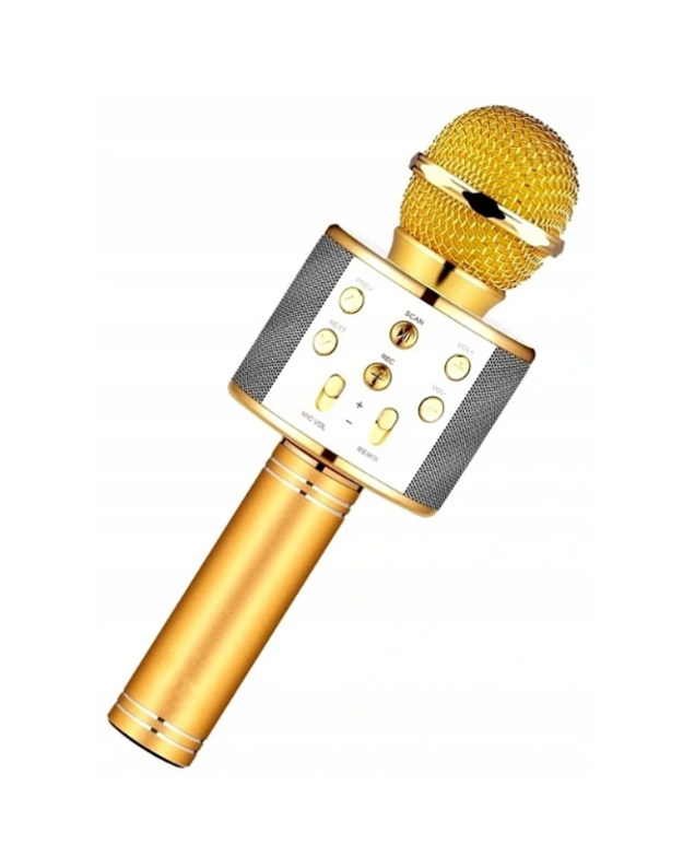 Belaidis mikrofonas – karaoke garsiakalbis