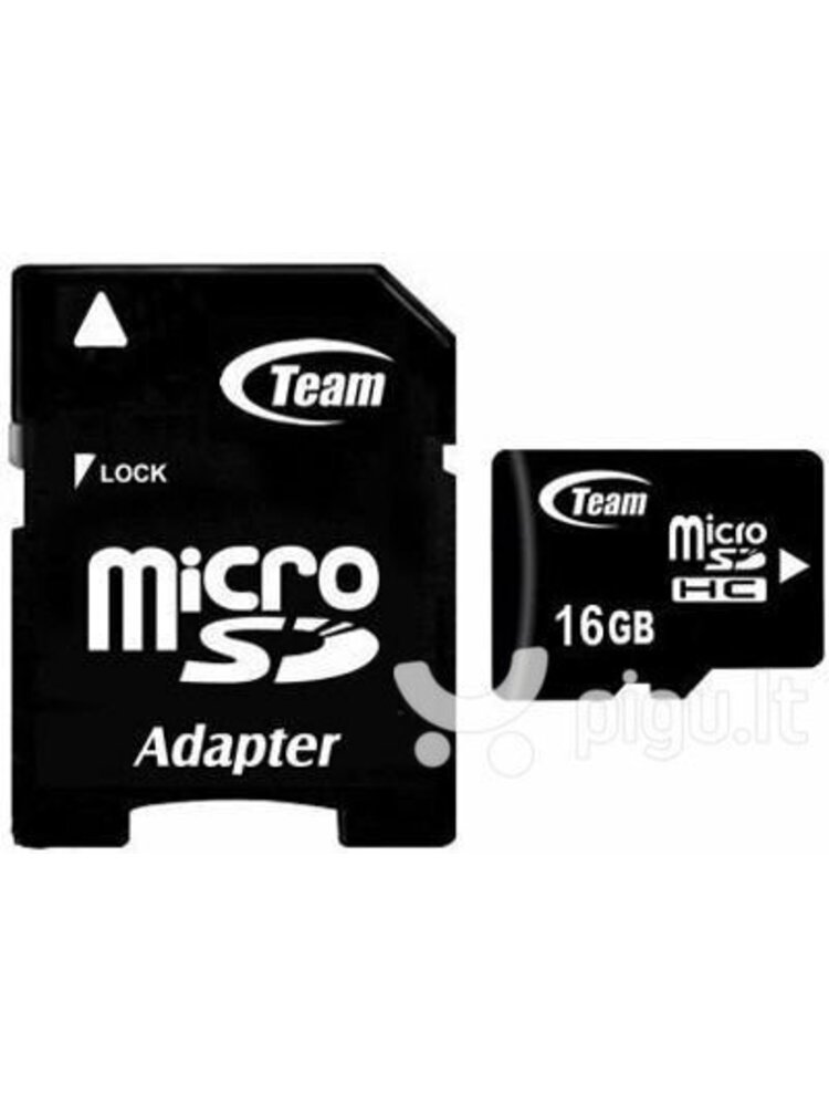 Team Group 16 GB C10 Micro-SD Flash Memory Card