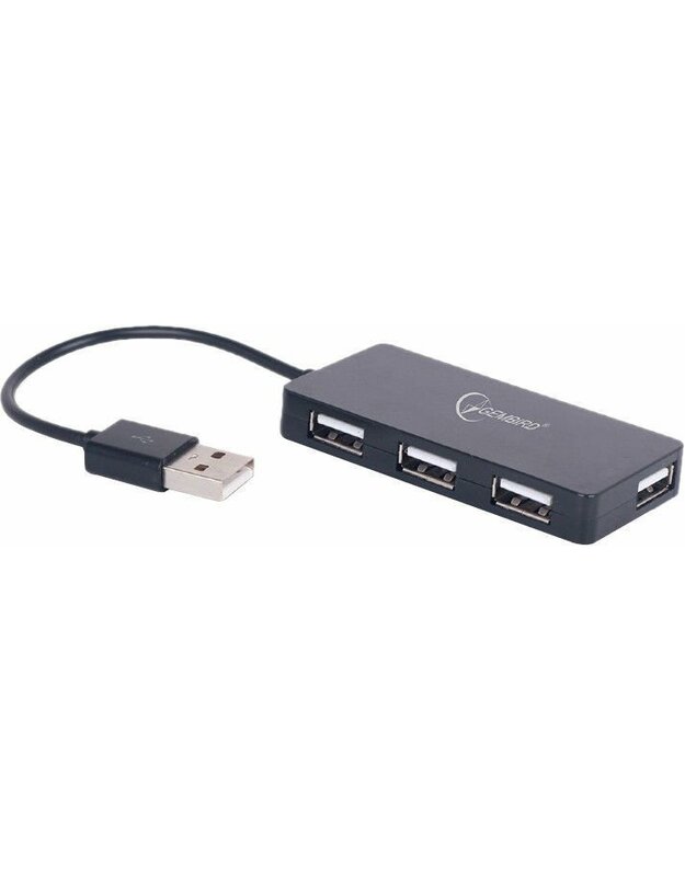 USB šakotuvas GEMBIRD UHB-U2P4-03