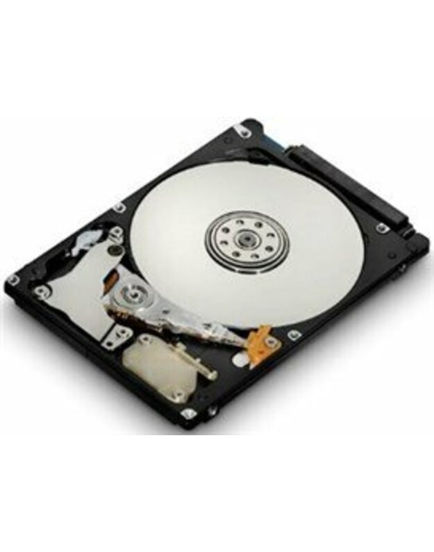 Vidinis HDD Hitachi 2.5