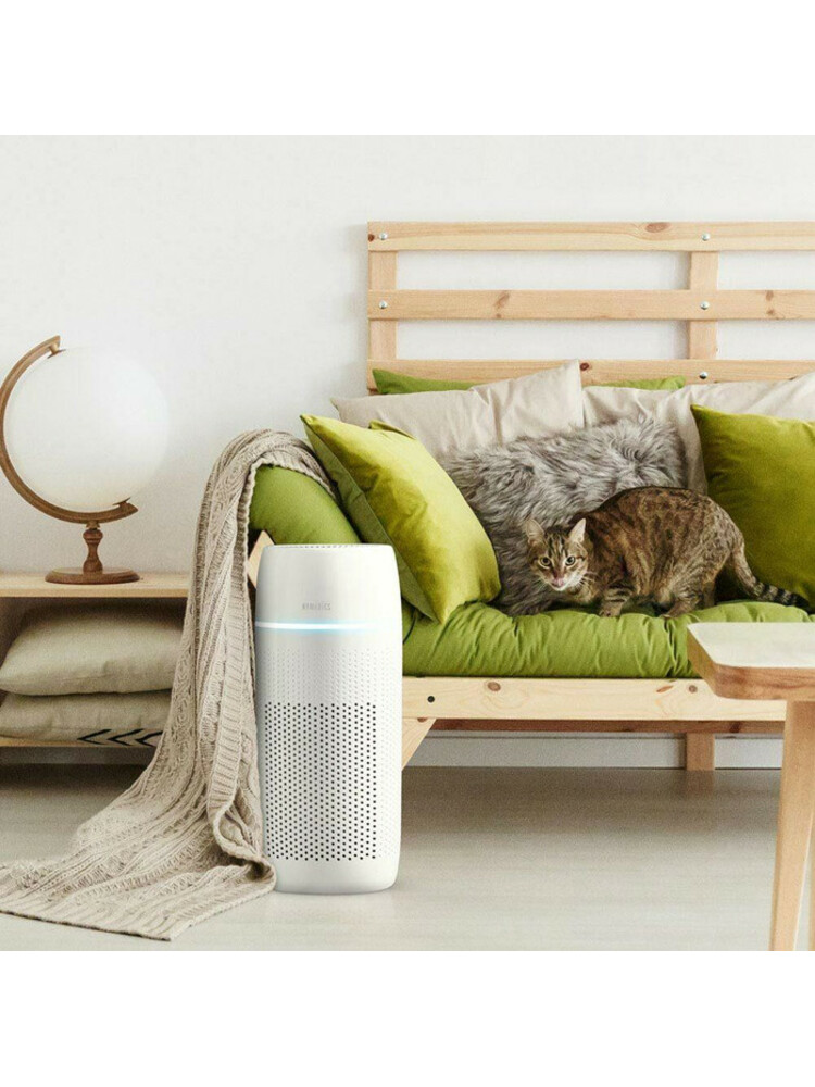 Homedics AP-PET35WT-EU TotalClean PetPlus 5 in 1 Air Purifier