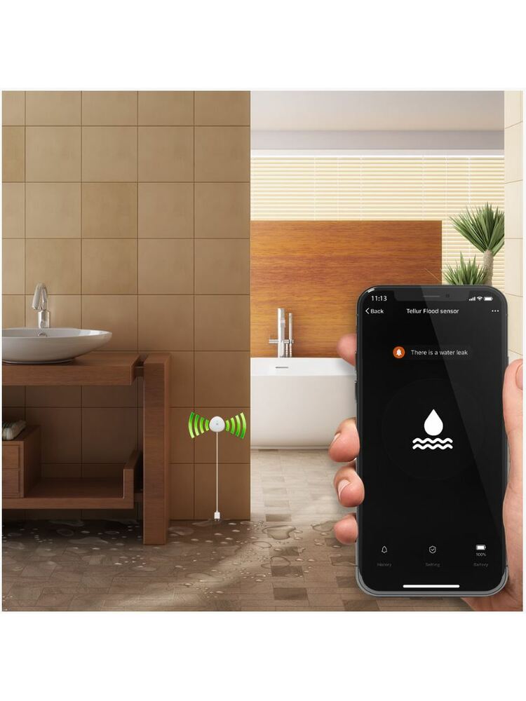 Tellur WiFi Flood Sensor, AAA, White