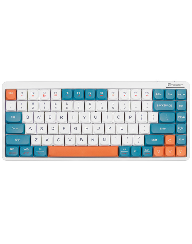 Tracer 47309 FINA 84 White/Blue (Outemu Red Switch)