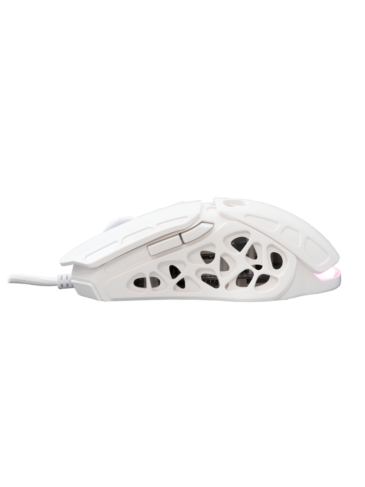 White Shark GM-5016 Ector White