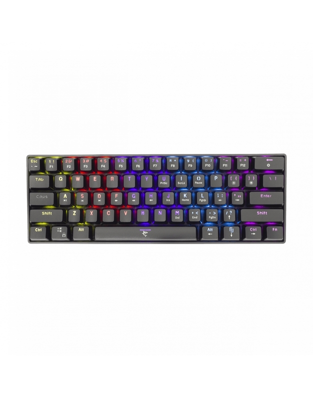 White Shark Shinobi GK-2022 Blue Switch, Black US