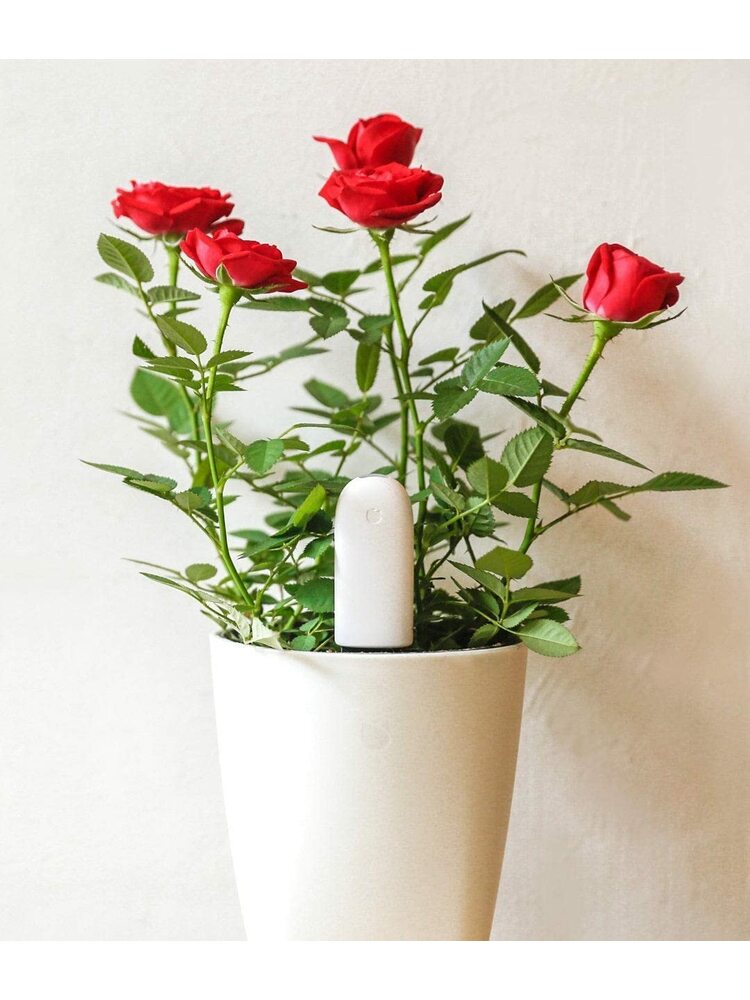 Xiaomi Mi Flower Care Plant Sensor