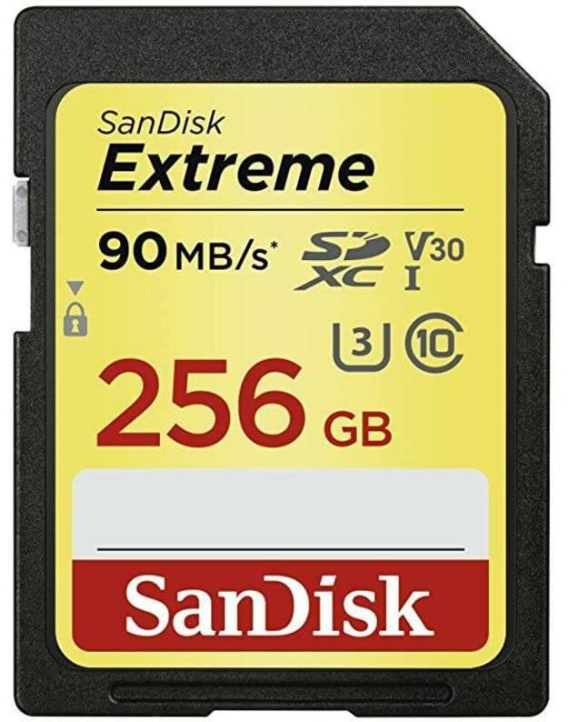 MEMORY SDXC 256GB UHS-1/SDSDXVV-256G-GNCIN SANDISK