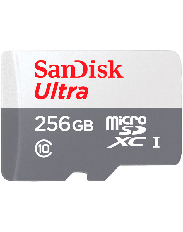 SanDisk Ultra microSDXC 256GB 100MB/s Class 10 UHS-I, EAN: 619659196516