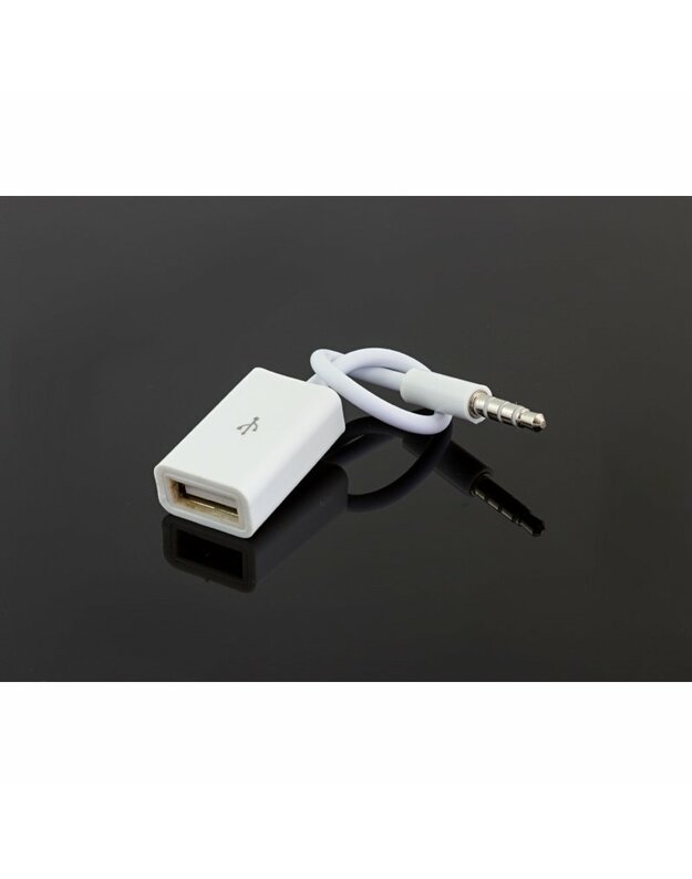 Adapteris AUX 3,5mm - USB