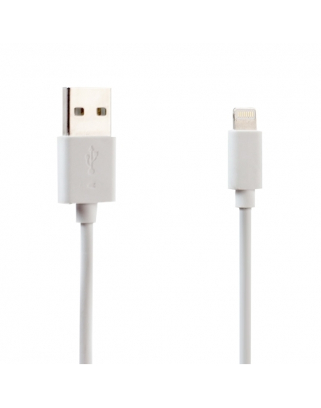 USB LIGHTNING Laidas IPHONE baltas 1M