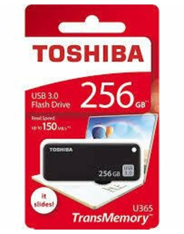 USB laikmena Toshiba 256GB