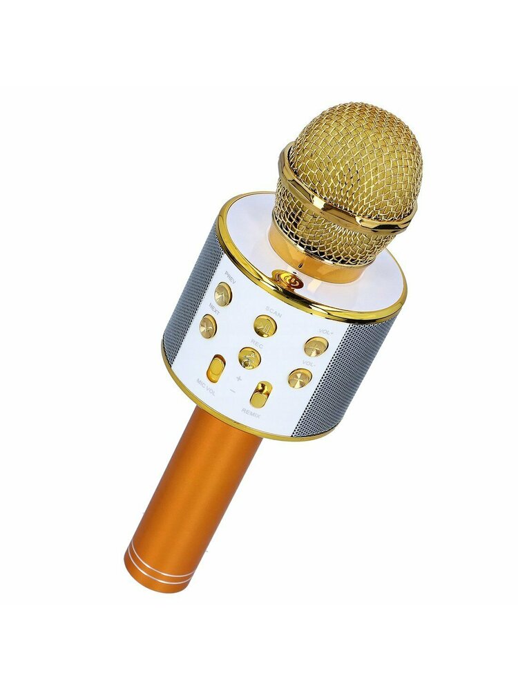 Belaidis mikrofonas karaoke su auksiniu atkūrimo valdikliu