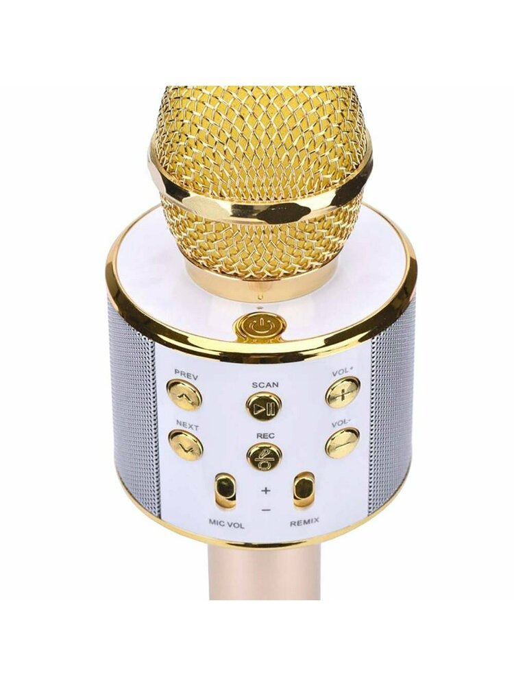 Belaidis mikrofonas karaoke su auksiniu atkūrimo valdikliu