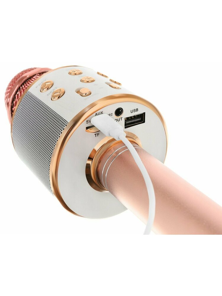 Belaidis mikrofonas karaokei su atkūrimo valdikliu šviesiai rožinis
