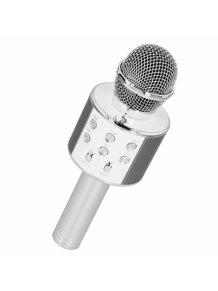 Belaidis mikrofonas karaokei su atkūrimo valdikliu sidabrinis