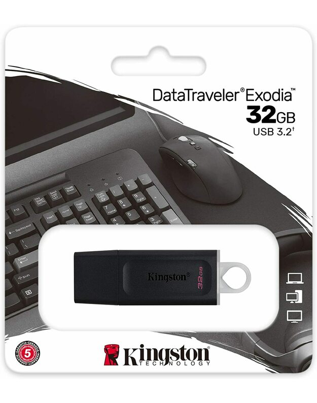 Kingston atmintinė DTX, 32GB, USB 3.2