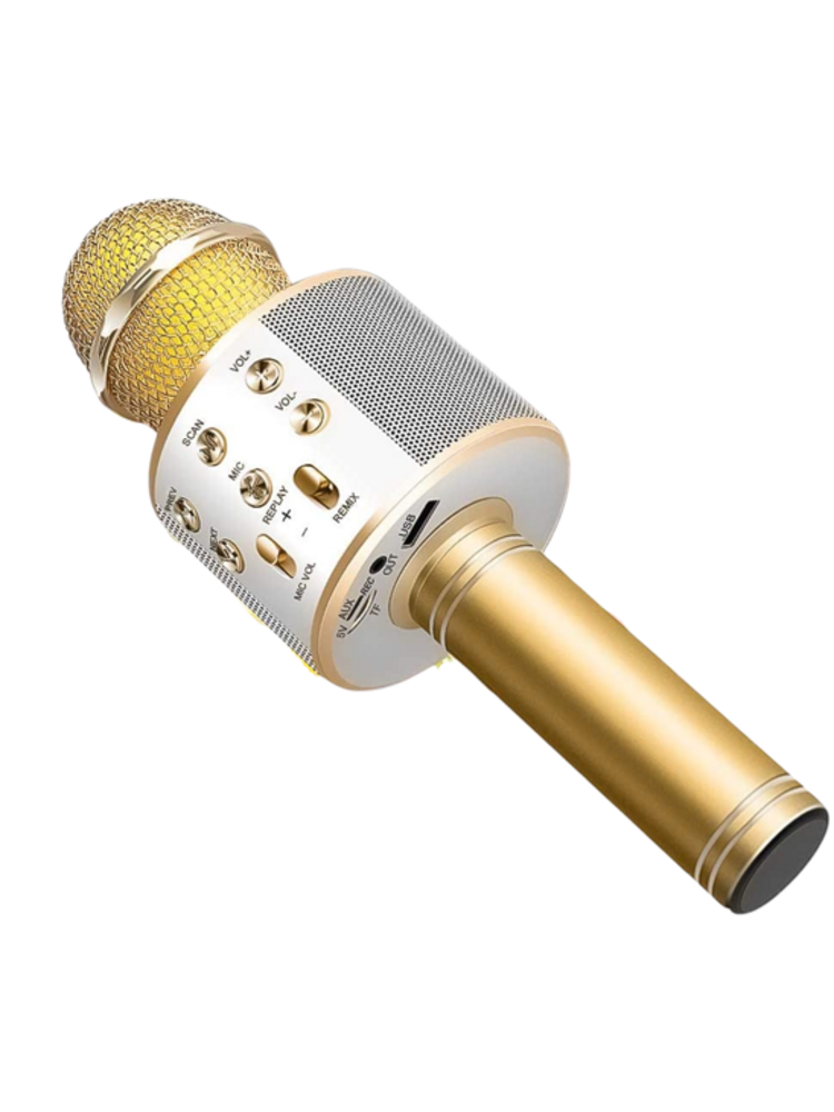 Belaidis mikrofonas karaokei su atkūrimo valdikliu 